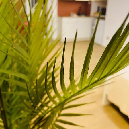 Viva La Vida Hospitality - * Bari