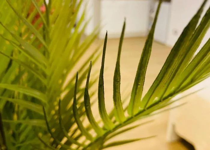 Viva La Vida Hospitality - * Bari